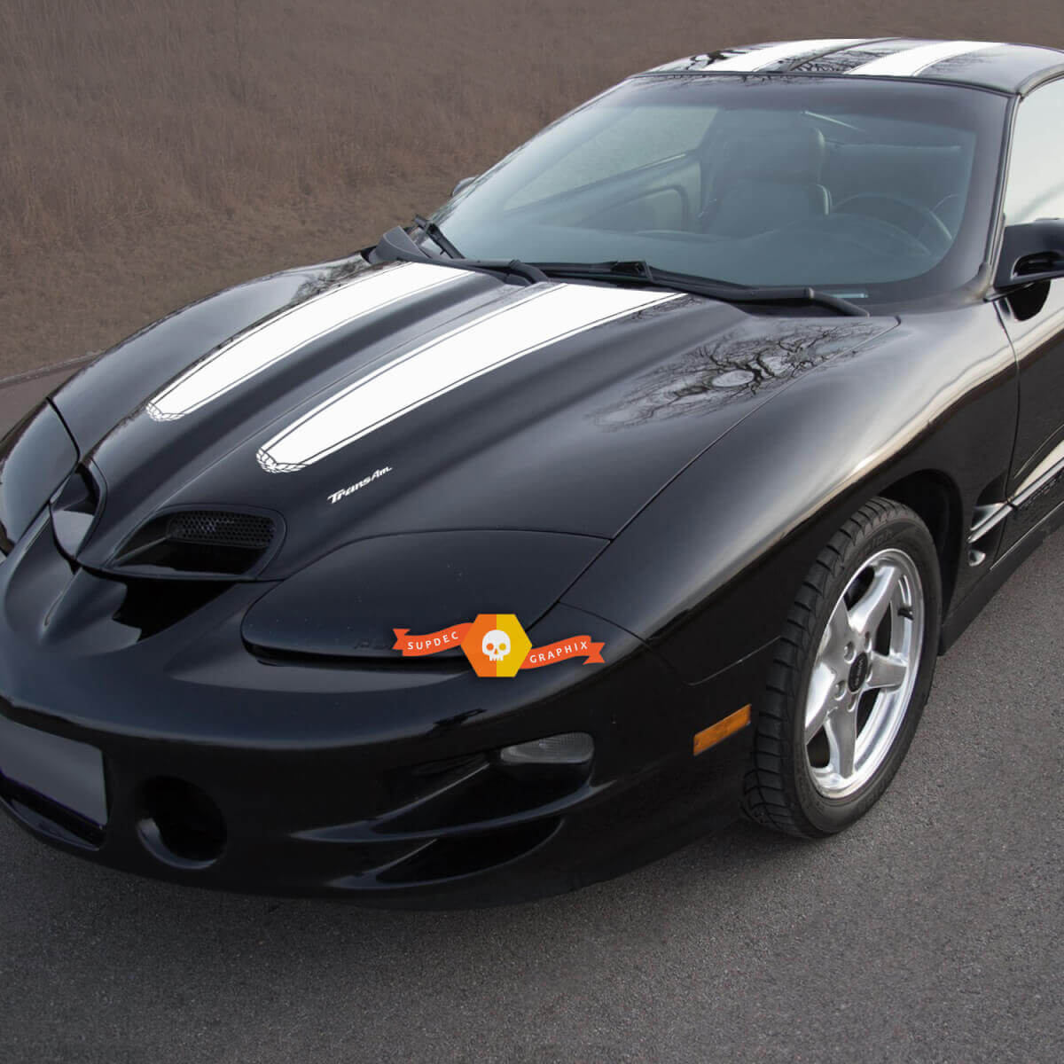 Kit de décalcomanies vinyl à bandes doubles pour capot, toit et hayon de Pontiac Firebird Trans Am
