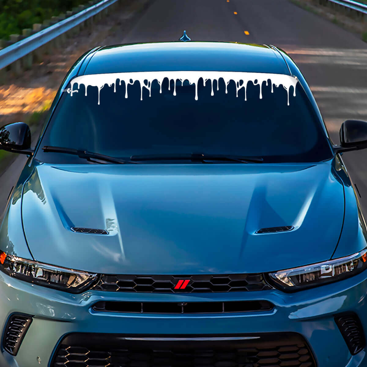 Hornet Hash Hash Banner Banner Sticker Sticker - Custom Vinyl Graphics Fit to Dodge Hornet
