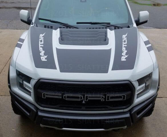 Autocollant Vinyle Bandes Graphiques Capot Double Predator Svt Rph-003 pour Ford F-150 Raptor
