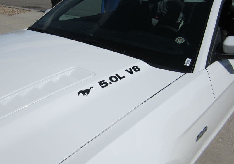 Musclecar Musclecarmodel 5.0 V8 AVEC PAIRE D'AUTOCOLLANTS DE CAPOT DE PONEY 2011 - 2020 AUTOCOLLANT EN VINYLE