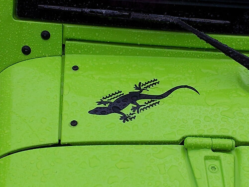 Jeu d'autocollants latéraux en vinyle Gecko pour Jeep Wrangler