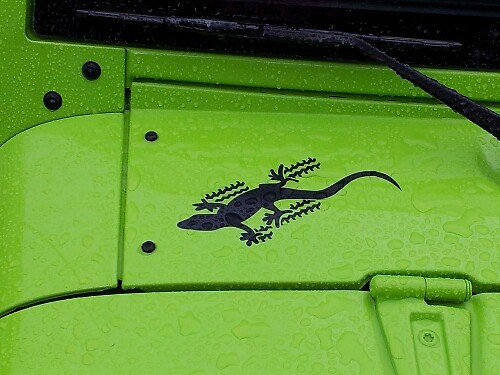 Ensemble d'autocollants vinyle Gecko pour Jeep Wrangler