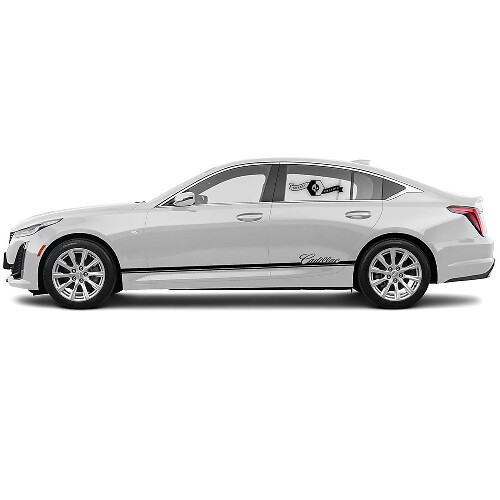 2 Nouvel Autocollant Décoratif Élégant Ligne de Garniture Mince pour Panneau Latéral en Vinyle pour Cadillac CT5
