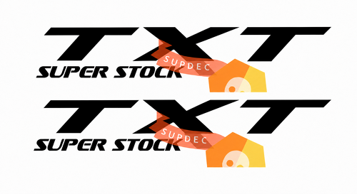 TXT Super Stock Lettering — Autocollant en vinyle (latéral) pour Dodge Charger SRT
