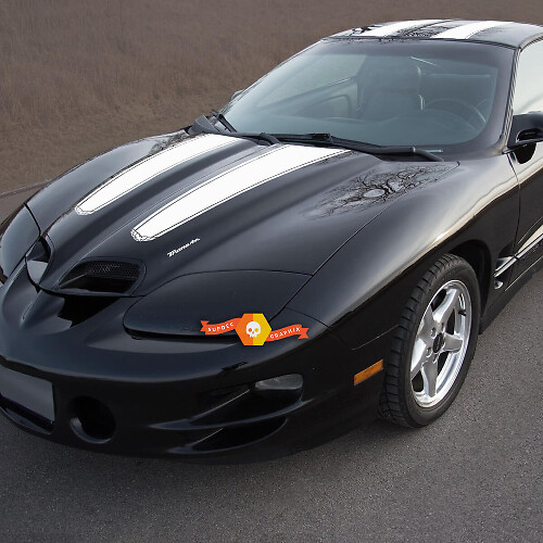 Kit de décalcomanies vinyl à bandes doubles pour capot, toit et hayon de Pontiac Firebird Trans Am