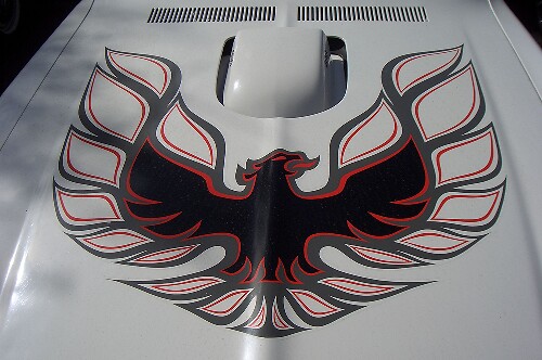 Autocollant en vinyle Hood Bird pour Pontiac Firebird Trans Am