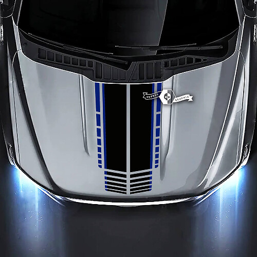 Ford F-150 XL XLT STX LARIAT Hood Lines Graphics Stickers Autocollants 2 Couleurs
