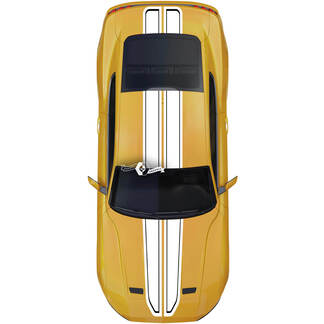 Ford Mustang Mach capot toit hayon décalcomanie voiture vinyle autocollant Shelby Sport Racing rayures 2 couleurs
