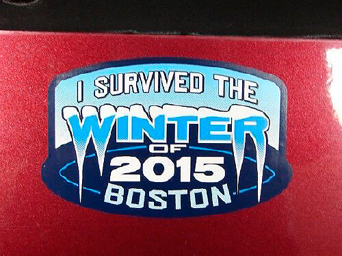 Par JEEP Boston Blizzard Emblem 