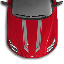 Décalcomanies Autocollantes en Vinyle pour Ailes de Capot Aston Martin DB11
 2