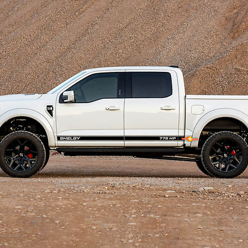 Paire Ford F-150 Raptor SHELBY 775HP Portes latérales Lignes Graphiques Ensemble Logo Stripe Autocollant Autocollant
