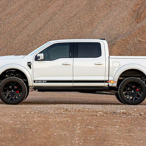 Paire Ford F-150 Raptor SHELBY Portes latérales Lignes Graphiques Ensemble Logo Stripe Autocollant Autocollant
