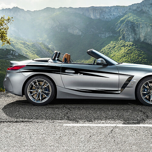 Autocollant en vinyle à rayures de porte tribales, accents latéraux, adapté à BMW Z4
