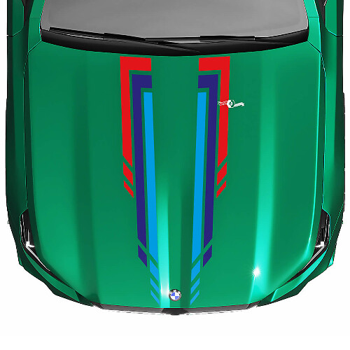 Autocollant de capot à carreaux L Stripes Racing pour BMW Série 5 G60 M5 G90

