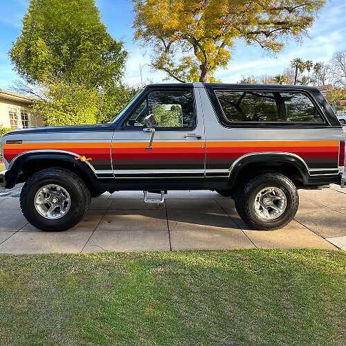 Paire de bandes vinyle autocollantes rétro vintage pour portière latérale pour Musclecar horse 1984
