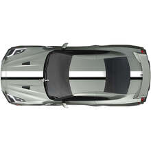 Kit de décalcomanie de bandes à double course pour le corps pour Nissan GT-R
 2