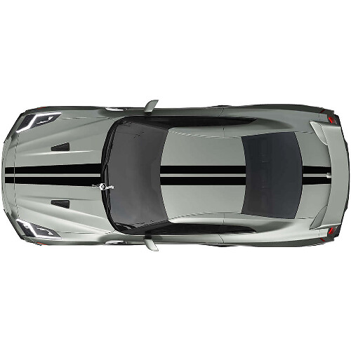 Kit de décalcomanies à bandes de course doubles sur toute la carrosserie 2 pour Nissan GT-R