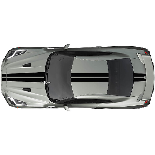 Kit de décalcomanies à bandes de course doubles pour Nissan GT-R, couleur unique
