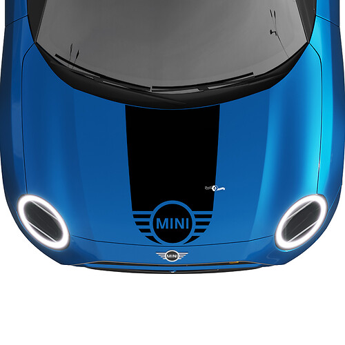 Mini Hood Racing Central Stripe Rally Decal Graphics Sticker for Mini Cooper
