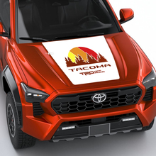 Toyota Tacoma Vintage Stripes Topographic Map Side Hood Tailgate Stickers Stickers
 3