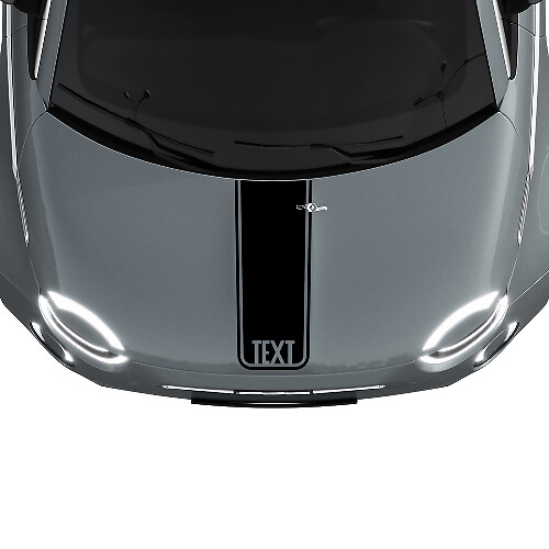 Autocollant graphique bande centrale personnalisée pour capot Fiat 500