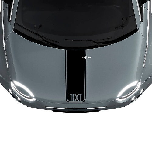 Autocollant graphique bande centrale personnalisée pour capot Fiat 500