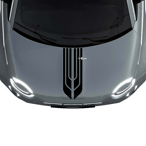 500 Bande de capot centrale double autocollant pour Fiat 500
