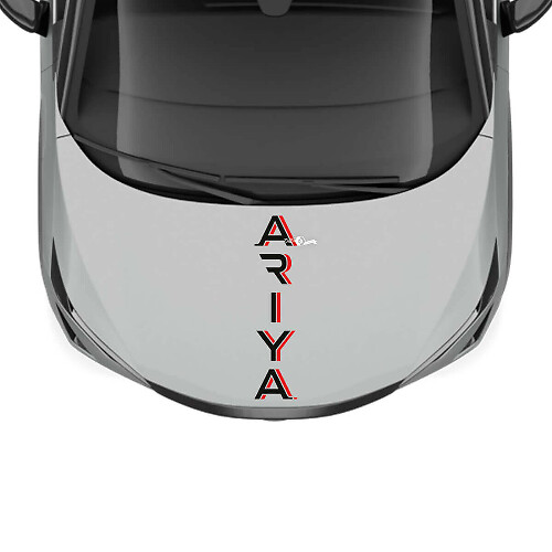 Décalcomanie de graphiques de course à rayures bicolores pour capot pour Nissan ARIYA
