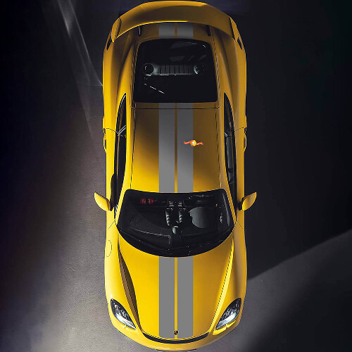 Bandes de capot doubles pour Porsche Cayman 718
