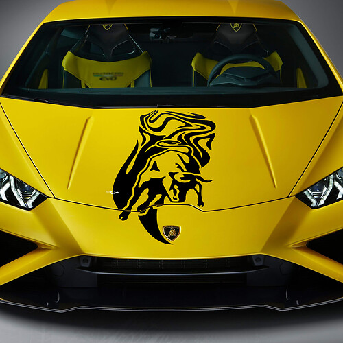 Autocollant en vinyle pour capot avec graphiques de course pour Lamborghini Huracan Evo
 1