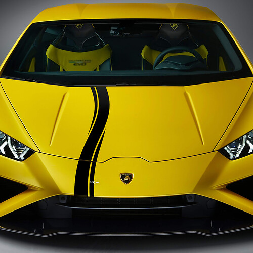 Rayures à damier pour capot Autocollant vinyle Racing pour Lamborghini Huracan Evo
