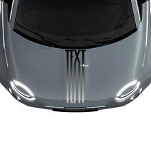 Autocollant Dégradé Rayures Personnalisé Capot Graphics pour Fiat 500 2