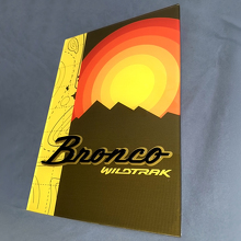 Panneau d'art mural de garage en acrylique brillant Heritage Bronco Wildtrak 3