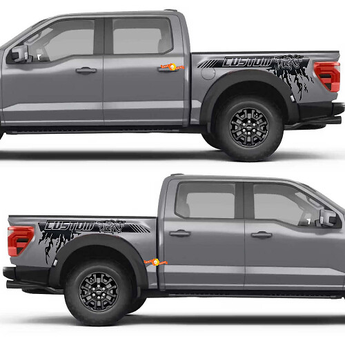 Autocollant vinyle éclaboussures garde-boue arrière bande latérale pour Ford F-150