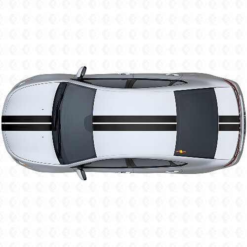 Kit de décalcomanies en vinyle avec bandes centrales doubles en contour pour la partie supérieure côté pour Dodge Dart 2013+