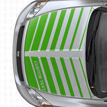 Ensemble de décalcomanies en vinyle à bandes stroboscopiques doubles personnalisées pour capot Dodge Caliber 2007+_3