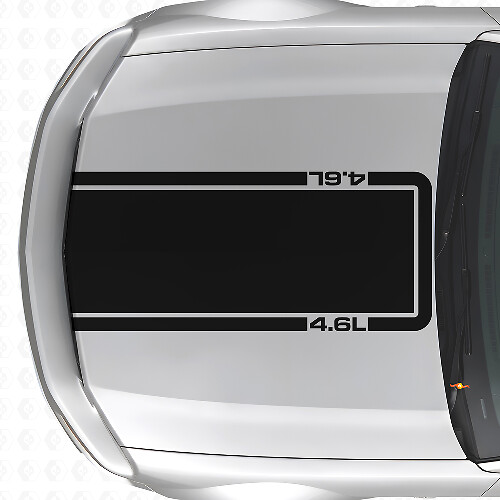 Autocollant en vinyle bande contour de capot 4.6L pour Musclecar Musclecarmodel Mach 1 2005-09