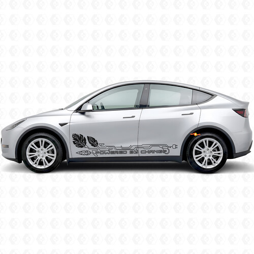 Autocollant Vinyle Changement de Porte Latérale pour Tesla Model Y_1