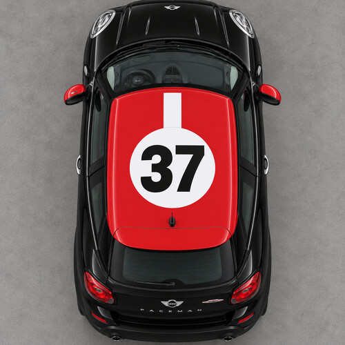 Autocollant en vinyle Rally Disc 37 toit pour MINI Paceman R61 2013-2016_1