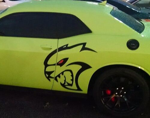 Kit de décalcomanies latérales style Hallcat pour Dodge Challenger