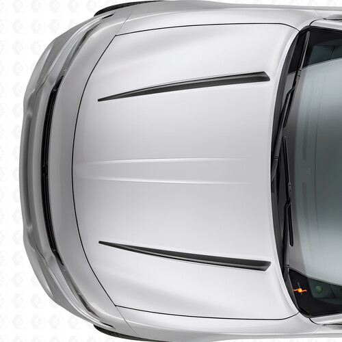 Autocollant Vinyle Capot Bandes Tnin Doubles pour Dodge Charger 2015-2026