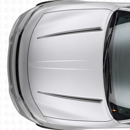Autocollant en vinyle avec bandes doubles contour Tnin pour capot Dodge Charger 2015-2026