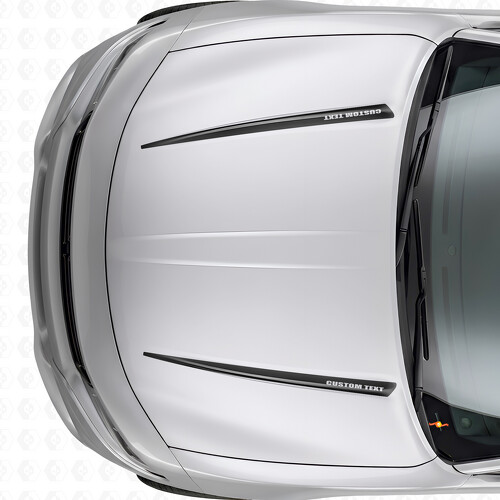 Autocollant vinyle capot bandes personnalisées doubles pour Dodge Charger 2015-2026