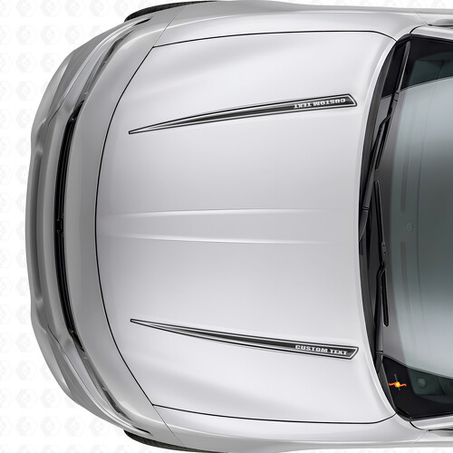 Autocollant en vinyle à double contour personnalisé pour capot Dodge Charger 2015-2026