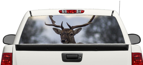 Cerf Animal arrière fenêtre autocollant autocollant camionnette SUV voiture 3