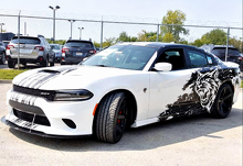 Custom Cat Head Distressed Stripe Pattern Kit complet Autocollant vinyle pour Dodge Charger Hellcat_3