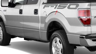 Lettrage autocollant autocollant emblème Logo vinyle F150 Raptor pour Ford