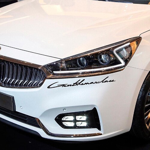 Autocollant Lettres Emblème Logo Vinyle 2 Pour Ford