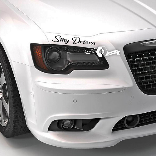 LETTRAGE AUTOCOLLANT AUTOCOLLANT EMBLÈME LOGO VINYLE POUR BMW
