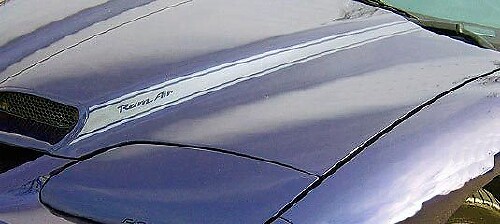 Autocollants en vinyle bande de prise d'air capot Blackbird pour Pontiac Firebird